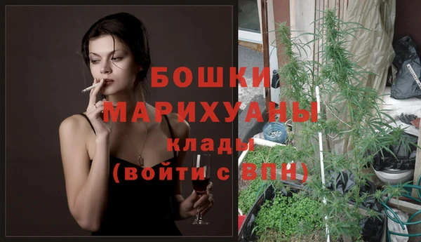 PSILOCYBIN Верхний Тагил