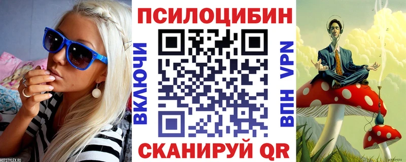 Купить закладки Мурино Псилоцибиновые грибы Magic Shrooms